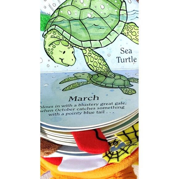 October The Octopus Pop-Up Interactive 3D Plush Fun Book 2014 Matthew Van Fleet - Picture 9 of 10